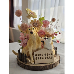 寵物彩繪擴香石