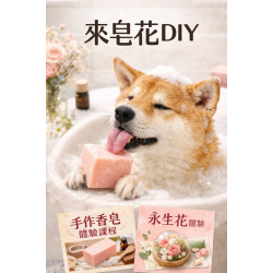寵物手工皂DIY新北人氣手作課程指南：板橋三重的香皂與永生花體驗